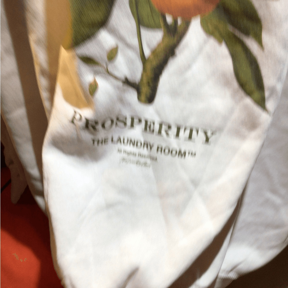 NEW! The Laundry Room Prosperity Spring floral pullover - Picture 3 of 3